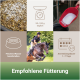 Fütterungs-Collage für Pferde: Futter, springendes Pferd, roter Messlöffel 'PANTO'. Texte: '50–100 g täglich'; 'Anwendungsdauer 1–7 Tage'