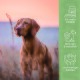 Infografik zu Fütterungsrichtlinien für Haustiere mit einer Schüssel voller Tabletten, Gewichtskategorien und täglichen Dosierungen für Hunde und Katzen.