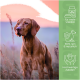 Infografik zu Fütterungsrichtlinien für Haustiere mit einer Schüssel voller Tabletten, Gewichtskategorien und täglichen Dosierungen für Hunde und Katzen.
