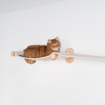 Eine flauschige orange Katze liegt auf einem beigen, wandmontierten Katzenregal, mit einer minimalistischen weißen Wand im Hintergrund.