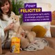 Chat orange duveteux nourri sur un canapé ; sachet de friandises 'edgard cooper PILLOWS' et panneau violet indiquant 'Pour FÉLICITER'.