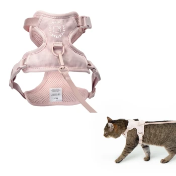 Eine weiße Katze, die ein hellrosa Geschirr trägt und zur Seite schaut, vor einem schlichten weißen Hintergrund.