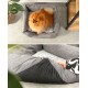 Ein flauschiger orangefarbener Pomeranian sitzt bequem in einem grauen Haustierbett mit einem weichen, gemusterten Innenraum, neben einer Pflanze und Möbeln.