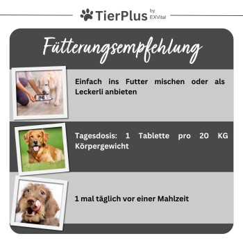 Zwei Hunde, die verspielt auf Gras rennen, mit einem Produktbehälter, der "Grünlippmuschel" für Hunde beschriftet ist, zur Unterstützung der Gelenkgesundheit, 120 Tabletten.
