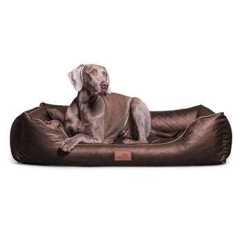 Ein entspannter Hund liegt auf einem plüschigen, braunen Haustierbett mit einem gesteppten Design und einem Lederetikett, das "tierlindo" liest.