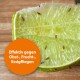 Halbierte Limette mit Obstfliegen, neben einem orangefarbenen Kreis mit der Aufschrift "Effektiv gegen Obst-, Frucht-, Essigfliegen."