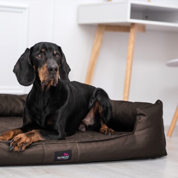 Vier Hunde, darunter zwei Weimaraner und ein Labrador, ruhen sich auf einem roten Hundebett in einem stilvollen Innenraum mit einem Ledersessel aus.