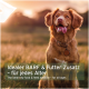 Ein Golden Retriever sitzt in einem Sonnenuntergangsfeld mit dem Text: "Ideal BARF & Futterzusatz - für alle Altersgruppen."