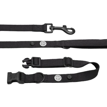 Hundehalsband-Auslaufset schwarz S