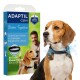 Beagle mit ADAPTIL Calm Halsband neben einer Schachtel mit der Aufschrift 'ADAPTIL Calm, Better Together, 30 TAGE Kleine Hunde (bis zu 15 kg)'.