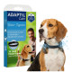 Beagle mit ADAPTIL Calm Halsband neben einer Schachtel mit der Aufschrift 'ADAPTIL Calm, Better Together, 30 TAGE Kleine Hunde (bis zu 15 kg)'.