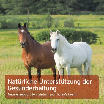 Zwei Pferde, eines braun und eines weiß, stehen auf einer grünen Wiese mit dem Text: "Natürliche Unterstützung zur Erhaltung der Gesundheit Ihres Pferdes."