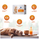 Eine orangefarbene getigerte Katze entspannt sich auf einer Fensterbank neben einer Tasse und einer Vase, mit einer Box von RECOACTIV® Nieren Tonicum für Katzen.