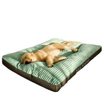 Ein großes, plüschiges Hundebett in Mintgrün mit einer gerippten Textur, mit dem Text 'PET HEAVEN' an der Seite, mit einem entspannten Hund, der darauf liegt.