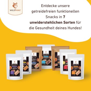 Entdecke unsere getreidefreien Snacks in 7 unwiderstehlichen Sorten für die Gesundheit deines Hundes! WILD FANG Logo.
