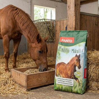 Ein braunes Pferd mit einer weißen Blesse frisst aus einer Schüssel neben einer Tüte PANTO Pferdefutter, das Vitamine und Omega-3 hervorhebt.