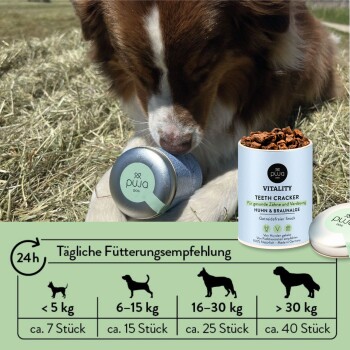 Ein Hund schnüffelt an einer "puja dog" Vitality Teeth Cracker Dose, die für gesunde Zähne und Verdauung mit Fütterungsempfehlungen gekennzeichnet ist.