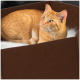 Eine flauschige orange Katze, die in einem gemütlichen braunen Haustierbett mit weißem Fellrand liegt und neugierig in die Kamera schaut.