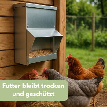 Metall-Wandfutterspender am Holzstall mit Futter, darunter drei Hennen; grünes Banner: 'Futter bleibt trocken und geschützt'.
