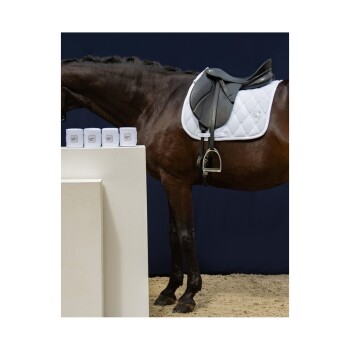 Ein braunes Pferd steht neben einer weißen Präsentation mit ordentlich gestapelten weißen Boxen, mit einem schwarzen Sattel auf seinem Rücken und einem dunkelblauen Hintergrund.