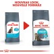 Comparaison de l'emballage de la nourriture pour chats Royal Canin Urinary Care, présentant un nouveau design à droite avec le texte "NOUVEAU LOOK, NOUVELLE FORMULE."