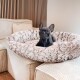 Ein schwarzer Französischer Bulldogge sitzt bequem in einem plüschigen, runden Haustierbett auf einem beigen Sofa, mit einer strukturierten Holzwand im Hintergrund.