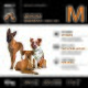 Erwachsenenfutterpackung: ‚Medium Breeds 15–25 kg‘ großes M, drei Hunde abgebildet, 10 kg, 34% Rind, 26% Protein, 11% Fett.