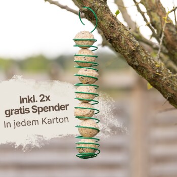 Hängender Vogelfutterspender mit mehreren Futterbällen, mit einem grünen Spiralhalter. Der Text lautet "Inkl. 2x gratis Spender In jedem Karton."