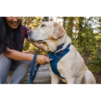 Ruffwear Front Range Leine blau FRESSNAPF