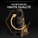 Grand chien brun et noir assis avec un graphique hexagonal et une flèche, texte au-dessus : « Nutrition de Haute Qualité ».