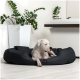 Ein Hund ruht auf einem großen, runden schwarzen Haustierbett in einem modernen Raum mit grünen Pflanzen und minimalistischer Dekoration.