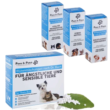 Paws & Patch Dr. Bach-Boxen: „Für ängstliche und sensible Tiere“ mit Katze und Hund und weißen Globuli