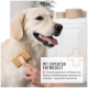 Eine Hand hält ein Tablet in der Nähe des Gesichts eines Golden Retrievers, mit dem Text "Fütterungsempfehlung: Je 10kg: 1 Tablette pro Tag."