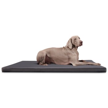 CARLOS Ortho-Medic - Orthopädische Hundematte schwarz/ graphit 1 m, 6 cm, 80 cm