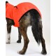 Ein Hund trägt einen leuchtend orangefarbenen Fleece-Mantel, zeigt seinen Rücken und Beine, mit einem flauschigen Schwanz und einer Mischung aus braunem und schwarzem Fell.