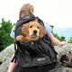Eine Person mit geflochtenem Haar sitzt auf einem Stein und trägt einen schwarzen Kurgo-Haustier-Rucksack, aus dem ein kleiner Hund herausspäht.