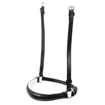 Schwarzes Lederhalsband für Hunde mit silberner Schnalle, mit glatter Oberfläche und verstellbarem Riemen.
