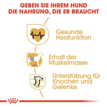 Bild, das die Vorteile von Hundefutter bewirbt: 'Geben Sie Ihrem Hund die Ernährung, die er braucht' mit Symbolen für Herzgesundheit, Muskelpflege und Gelenkunterstützung.