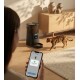 Intelligenter automatischer Katzenfutterspender mit Trockenfutter, Bengal-Katze nähert sich, Person hält ein Telefon, das die Benachrichtigung "Fütterung erfolgreich" anzeigt.