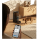 Intelligenter automatischer Katzenfutterspender mit Trockenfutter, Bengal-Katze nähert sich, Person hält ein Telefon, das die Benachrichtigung "Fütterung erfolgreich" anzeigt.