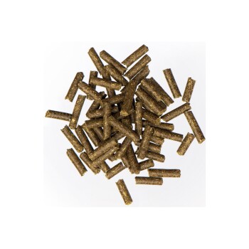 Ein Haufen kleiner, dunkelgrüner, zylindrischer Haustierfutterpellets auf einem weißen Hintergrund.