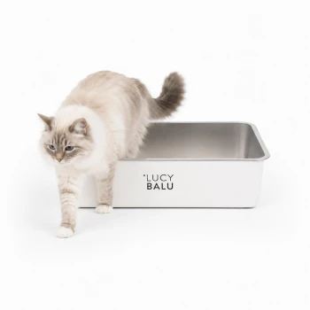 Eine getigerte Katze tritt aus einer eleganten, modernen Katzentoilette mit einem Edelstahl-Innenraum und einem weißen Äußeren, beschriftet mit "LUCY BALU."
