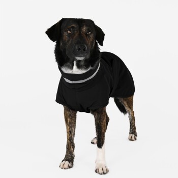 Nahaufnahme eines schwarzen wasserdichten Haustierzubehörs mit Wassertropfen, mit einem Reißverschlussanhänger, der "THE DOG IDEA" beschriftet ist.