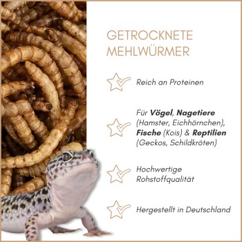 Getrocknete Mehlwürmer für Haustiere mit einem Gecko-Bild, das den Proteingehalt und die Eignung für Vögel, Reptilien und Fische hervorhebt.