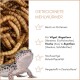 Getrocknete Mehlwürmer für Haustiere mit einem Gecko-Bild, das den Proteingehalt und die Eignung für Vögel, Reptilien und Fische hervorhebt.