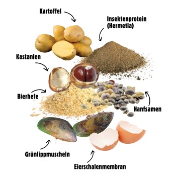 Bild von Zutaten für Haustierfutter: Kartoffeln, Insektenprotein, Kastanien, Bierhefe, Hanfsamen, Muscheln und Eierschalenmembran, beschriftet auf Deutsch.