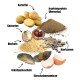 Bild von Zutaten für Haustierfutter: Kartoffeln, Insektenprotein, Kastanien, Bierhefe, Hanfsamen, Muscheln und Eierschalenmembran, beschriftet auf Deutsch.