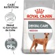 Sac de nourriture pour chiens Royal Canin Dental Care, présentant un chien de taille moyenne, prétend réduire la formation de tartre de 99%.