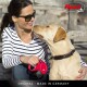 New Classic Pas czarny S, 5 m, 15 kg