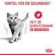 Eine graue Katze, die selbstbewusst geht, mit dem Text "Vorteil für die Gesundheit" und "Hilft, die Gewichtszunahme zu begrenzen," neben einem kcal-Symbol.